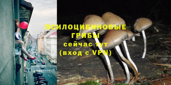 ALPHA-PVP Няндома
