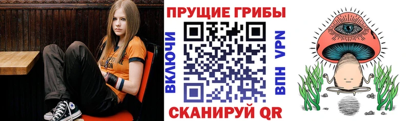 Купить закладки  Кимры  Псилоцибиновые грибы прущие грибы 